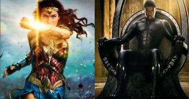 What Has Wonder Woman and Black Panther Taught Us About the Superhero Genre Moving Forward? What Has Wonder Woman and Black Panther Taught Us About the Superhero Genre Moving Forward?